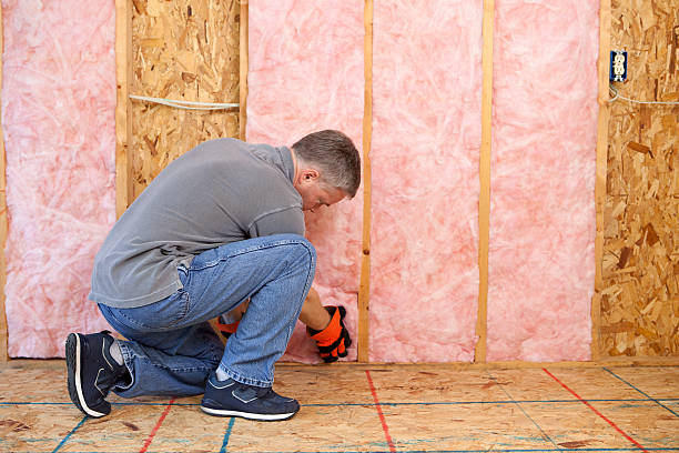 Best Types of Insulation in Wolcottville, IN